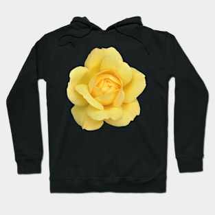 The Yellow Rose Hoodie